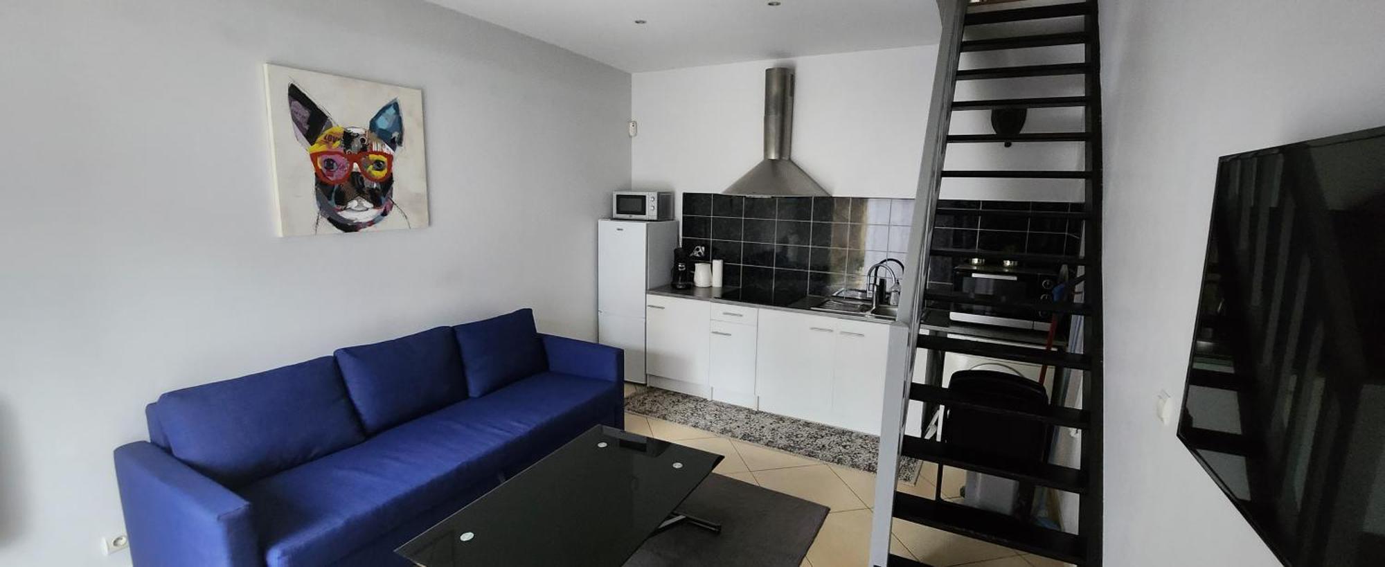 Appartement Duplex Dans Pavillon Sur Marne Entre Paris Et